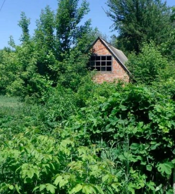 Жителя Полтавщини підозрюють у вбивстві односельця