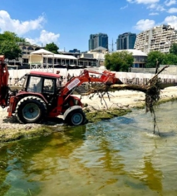 Солоність моря біля узбережжя Одеси знизилася більш як удвічі