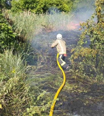 У Кременчуцькому районі вигоріло 5 гектарів очерету