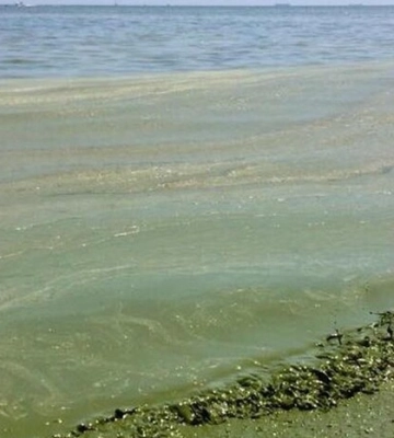 Щонайменше 30% водойм у трьох областях не відповідають гігієнічним нормам – МОЗ