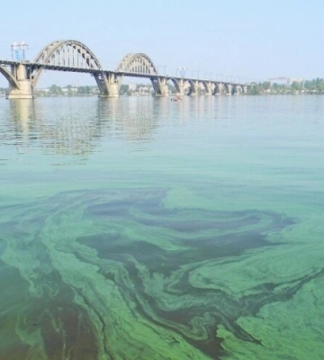 У Дніпрі та Чорному морі фіксують значне забруднення води - третина проб не відповідає нормам