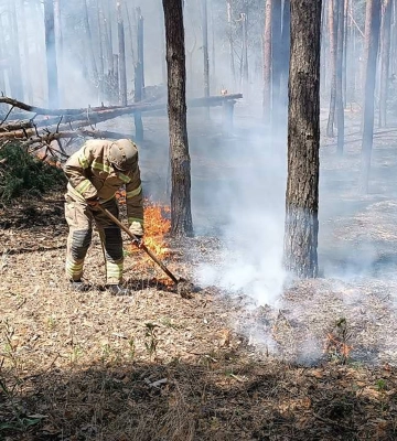 У Харківській області після обстрілів - великі лісові пожежі 