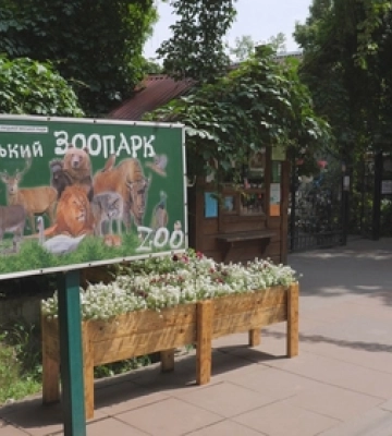 У Луцькому зоопарку поселили голубів, яких евакуювали з-під Бахмута  (відео)