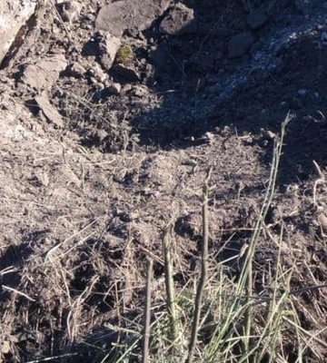 Унаслідок обстрілів Сумської області є загиблий і троє дістали поранення, зокрема дитина