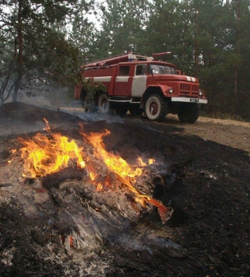 На Харківщині через обстріли сталися лісові пожежі – Синєгубов