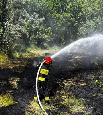 За добу на Дніпропетровщині загасили 23 пожежі в екосистемах