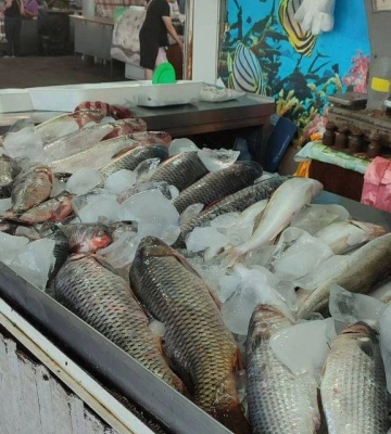 На ринках Одеси перевіряють походження риби