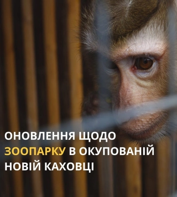 Житель Новой Каховки рассказал детали подрыва Каховской ГЭС