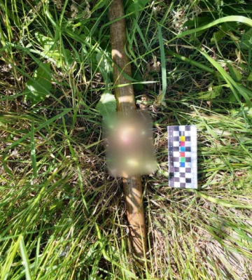 У Вінницькій області жінка побила чоловіка