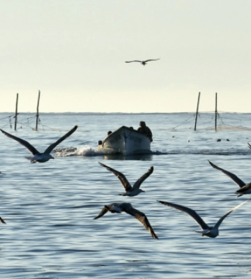 У водоймах півдня України заборонили вилов риби та морепродуктів