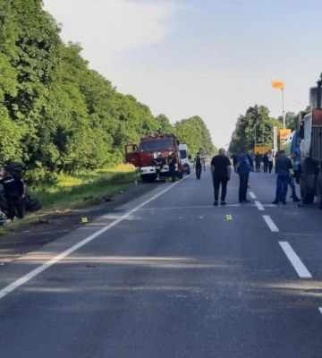 13 потерпілих через собаку: стала відома причина жахливої аварії неподалік Луцька