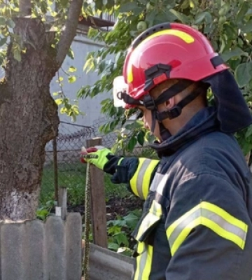 Знайшли в компостній ямі: у Володимирі у двір заповз вуж