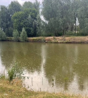На Полтавщині потонула 9-річна дівчинка