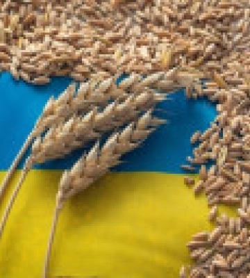 В ООН призывают обеспечить продление Черноморского зернового соглашения