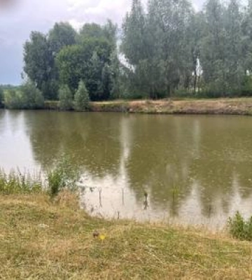 На Полтавщині 9-річна дівчинка втопилася в ставку