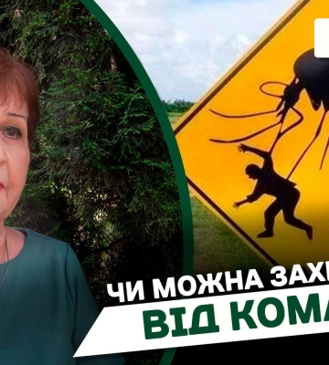 Чи загрожують укуси комарів здоров&#039;ю дніпрян і як від них захиститися (Відео)