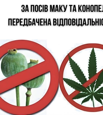 На Рівненщині розпочалася операція «МАК»
