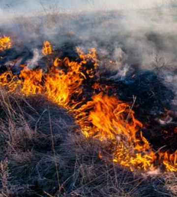 Криворіжців попереджають про надзвичайну пожежну небезпеку