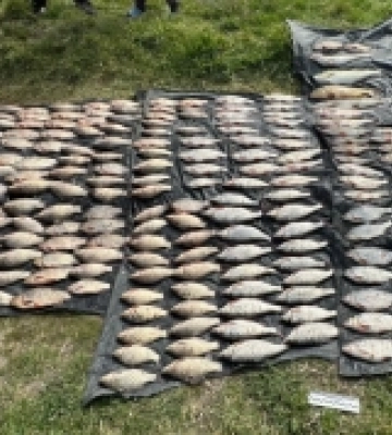 Мешканець громади на Херсонщині наловив у нацпарку риби на 860 тисяч гривень