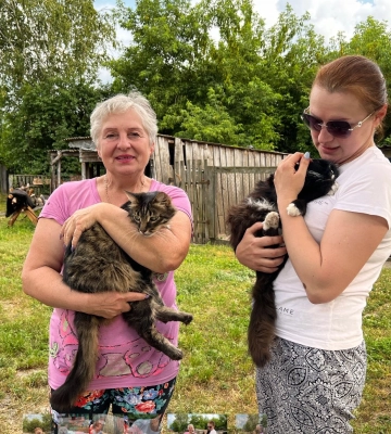 Родина донеччан евакуювала 80 котів на Черкащину. Ось їхня історія