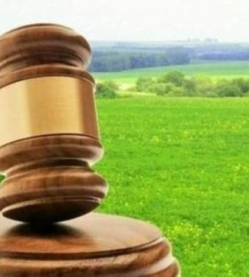 На Рівненщині конфіскували земельну ділянку, яка належала громадянці росії
