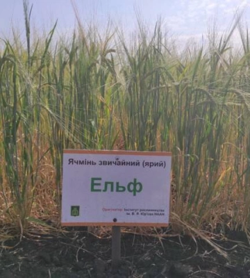 Фермери з Кіровоградщини вручили військовим прожектори для пошуку дронів 