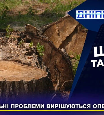 Швидко та якісно: як взаємодія міста, Громради та дніпрян допомогає вирішити комунальні проблеми (Відео)