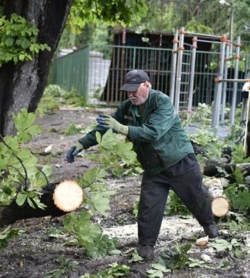 У Львові ввечері гроза повалила дерева, виникли перебої з електропостачанням