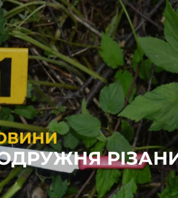 Подружня різанина на Львівщині: чоловік у нетверезому стані встромив кухонного ножа у груди жінці