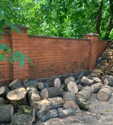 На Полтавщині 54-річний чоловік рубав дерева у заповіднику