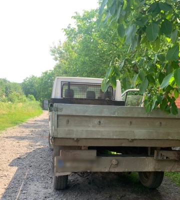 На Полтавщині 54-річний чоловік рубав дерева у заповіднику