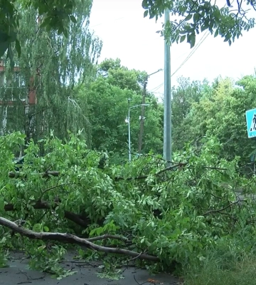 Обірвані електродроти й повалені дерева: наслідки сьогоднішньої зливи у Полтаві