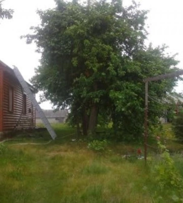У селі на півночі Рівненщини горів дерев`яний будинок