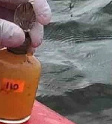 Моніторинг питної та морської води в Одесі