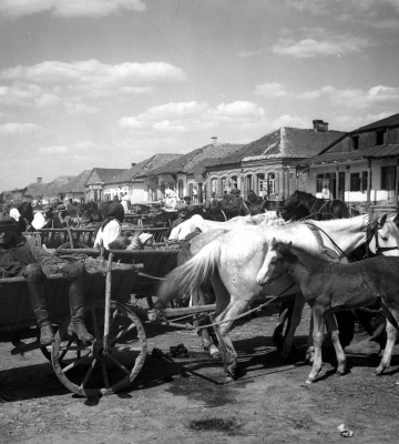 Волинь сторічної давнини в об’єктиві польського фотографа