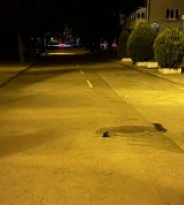 Під час бійки в центрі Рівного підрізали трьох чоловіків