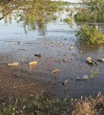 Внаслідок підриву Каховської ГЕС на Миколаївщині та Херсонщині може загинути значна частина лісів