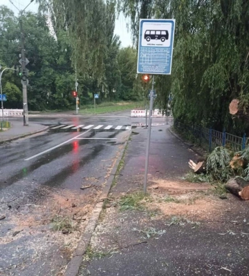 У Києві сильний вітер повалив дерево прямо на автобусну зупинку (ФОТО)