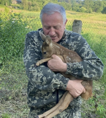 Польський ксьондз на Волині вигодовує маленьку сарну, що ледь не загинула