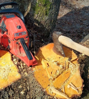 На Полтавщині чоловік спиляв дерев на понад 70 тисяч гривень