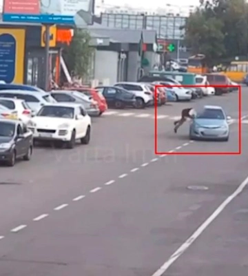 На Київщині 39-річний чоловік кинувся під колеса Hyundai