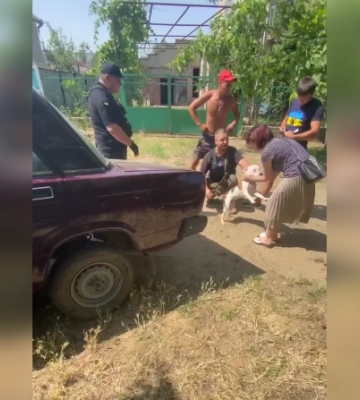 Требовали выкуп: в Одесской области у военнослужащего похитили домашнего питомца (видео)