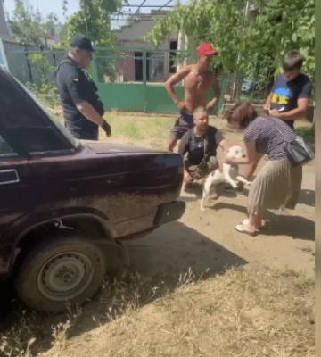 Требовали выкуп: в Одесской области у военнослужащего похитили домашнего питомца (видео)