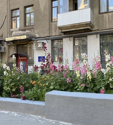 Прогулянки по Харкову з Андрієм Парамоновим: Палісадники старого Харкова