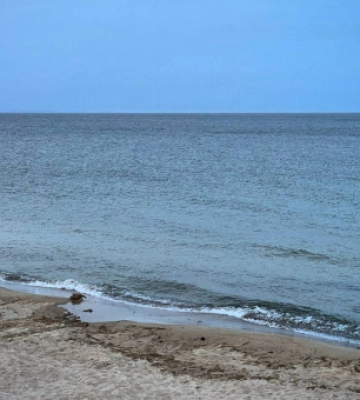 На Одещині спостерігається цвітіння води та заморні явища у Чорному морі