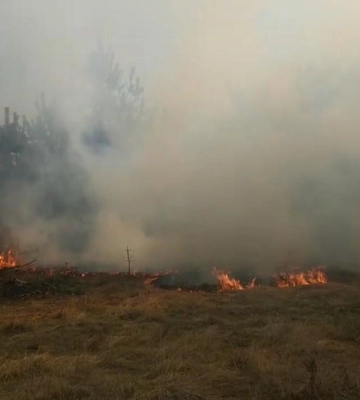 Понад 20 порушників на Рівненщині отримали штрафи за спричинені пожежі