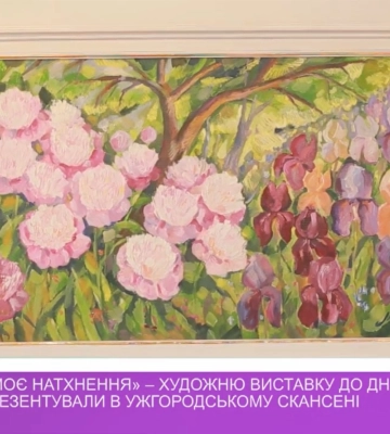 «Моя земля – моє натхнення» – художню виставку до Дня Конституції презентували в Ужгороді (відео)