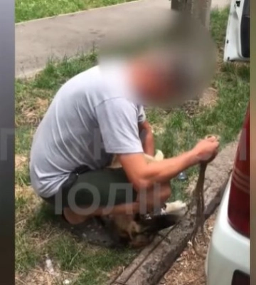 В Киеве спасли собаку, которую хозяева закрыли в жару в машине: видео