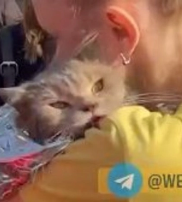 У Києві стався потужний вибух у багатоповерхівці: подробиці та фото