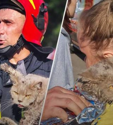 Спасли котиков Лео и Мышку: жуткие кадры из-под многоэтажки в Киеве, где произошел взрыв